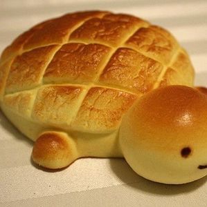 Meet your Posher, Jacob